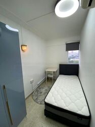 Spottiswoode Park (D2), Apartment #458133481